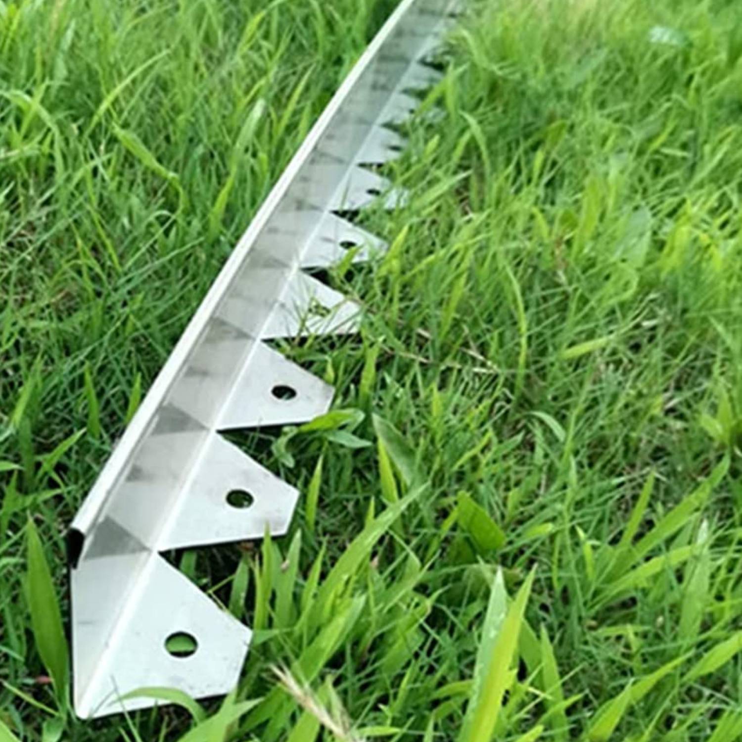 Stainless Steel Garden Edging 50 mm (per metre): image 4