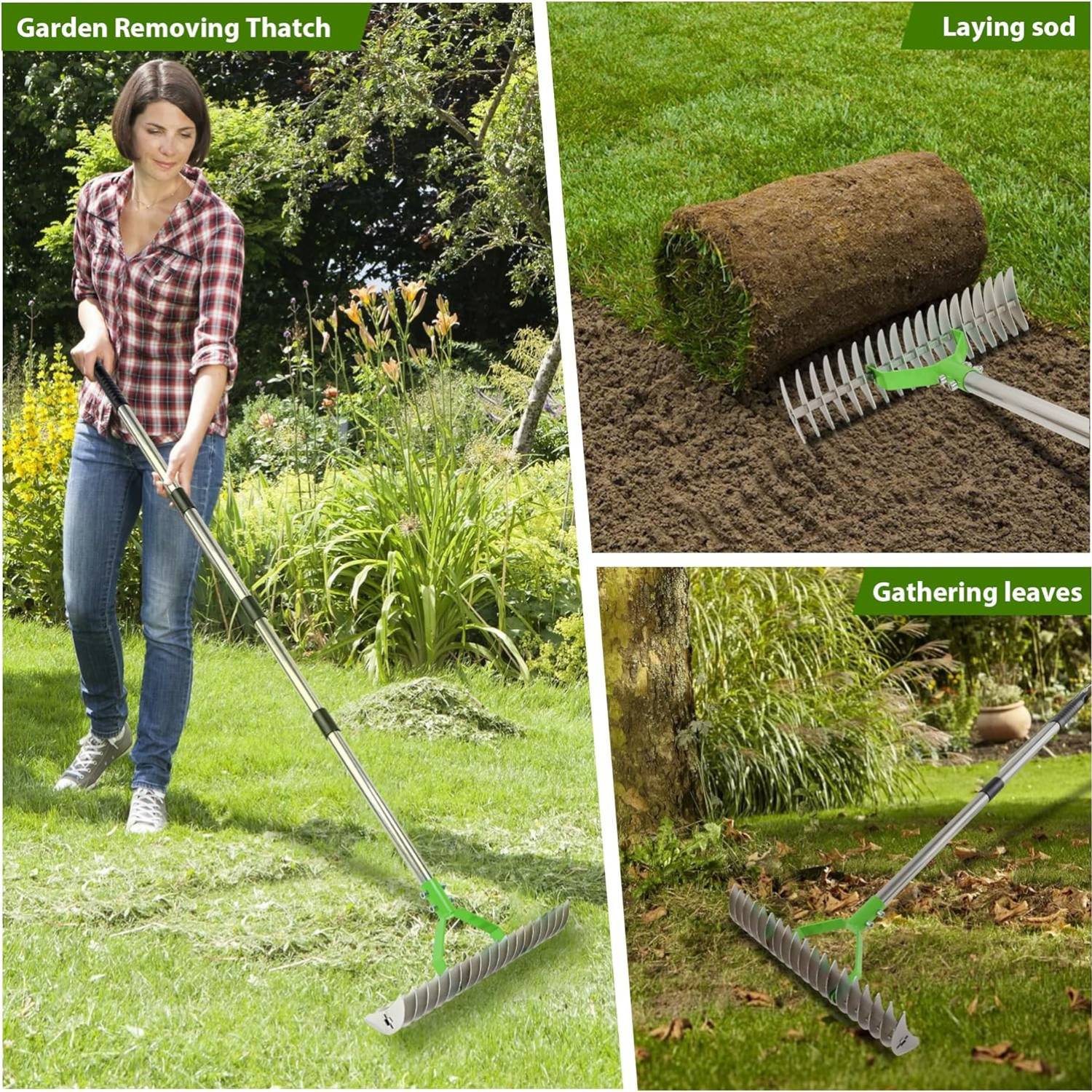 Grass Dethatcher Rake: image 4