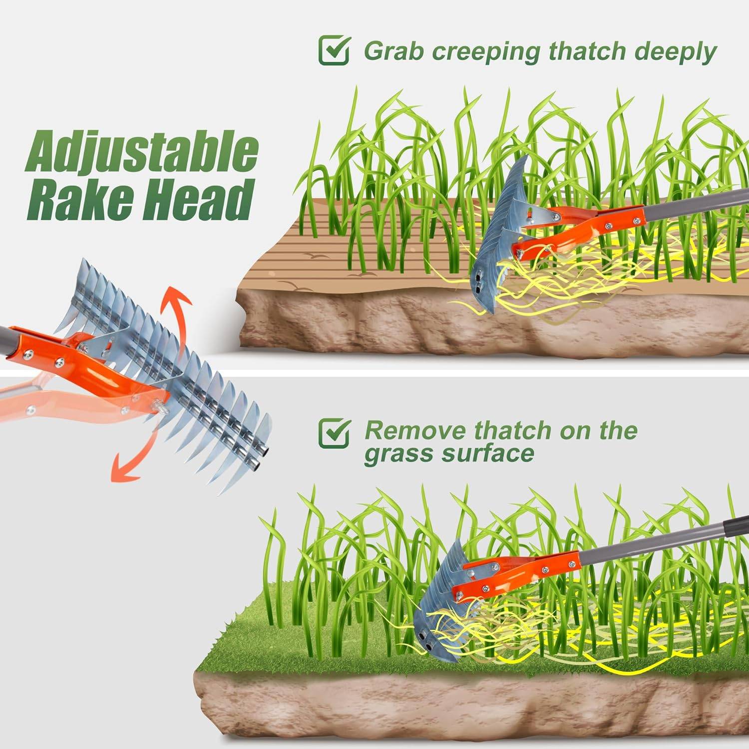 Grass Dethatcher Rake: image 5