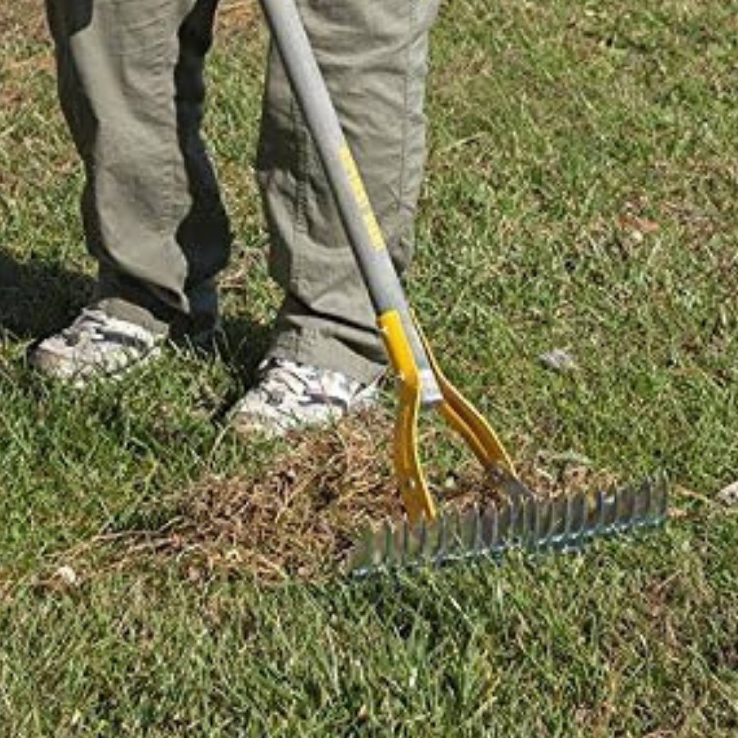 Grass Dethatcher Rake: image 8